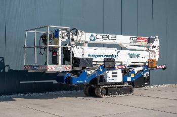 Cela DT 25