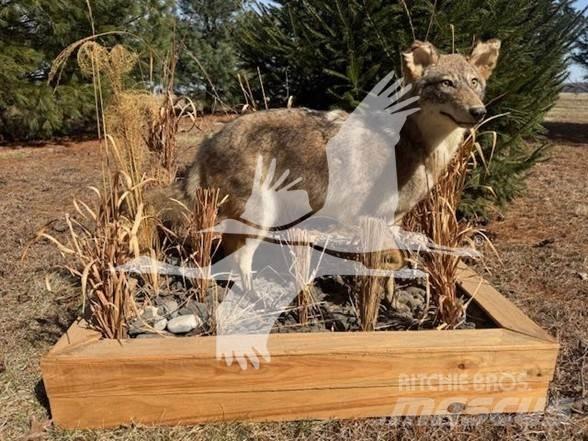 Coyote  Muut koneet