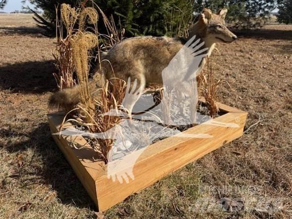 Coyote  Muut koneet