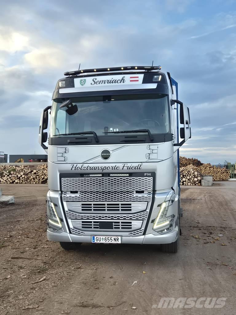 Volvo FH 540 Puuautot
