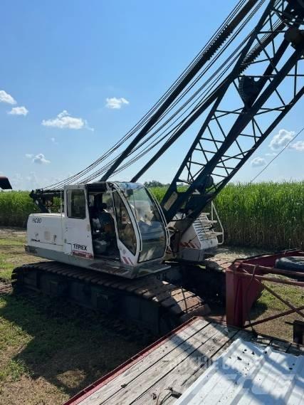 Terex HC 80 Tela-alustaiset nosturit