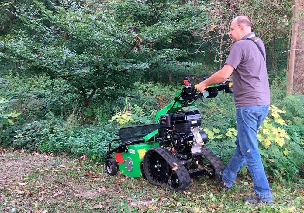 Peruzzo Motofrog 75 Pensasleikkurit