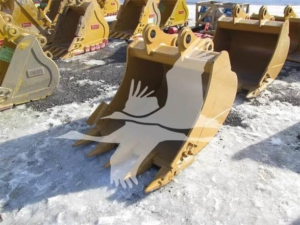Tiger  Kauhat
