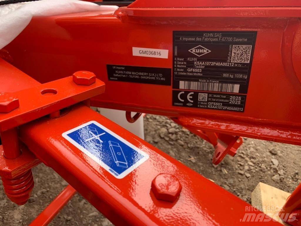 Kuhn GF6503 TEDDER Pöyhimet ja haravat