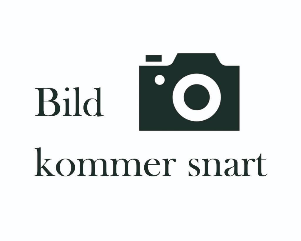 BT LPE250 Lavansiirtotrukit ajotasolla