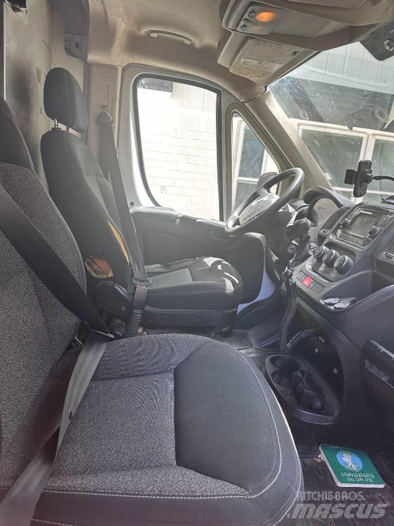 Dodge promaster Umpikorikuorma-autot