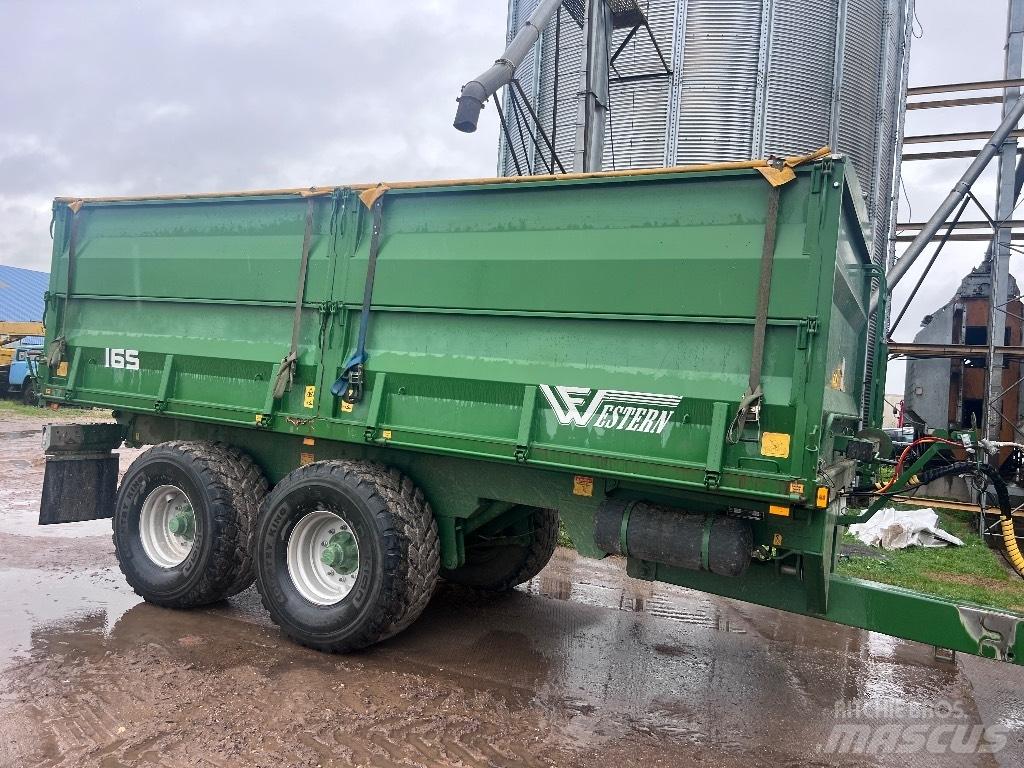 Western 16S Viljavaunut