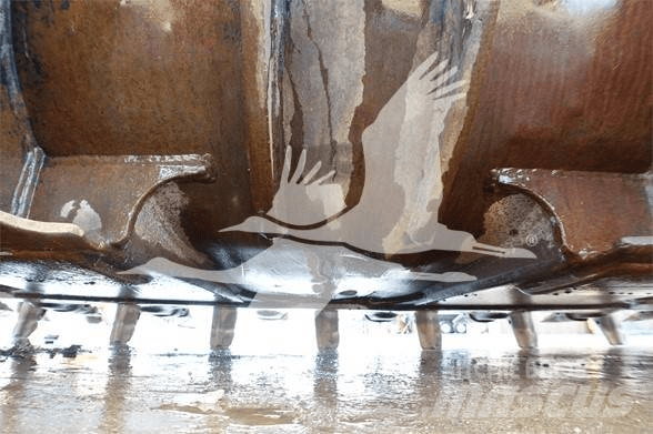 CAT TB LINKAGE Kauhat