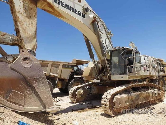 Liebherr R9150 Erikoiskaivinkoneet