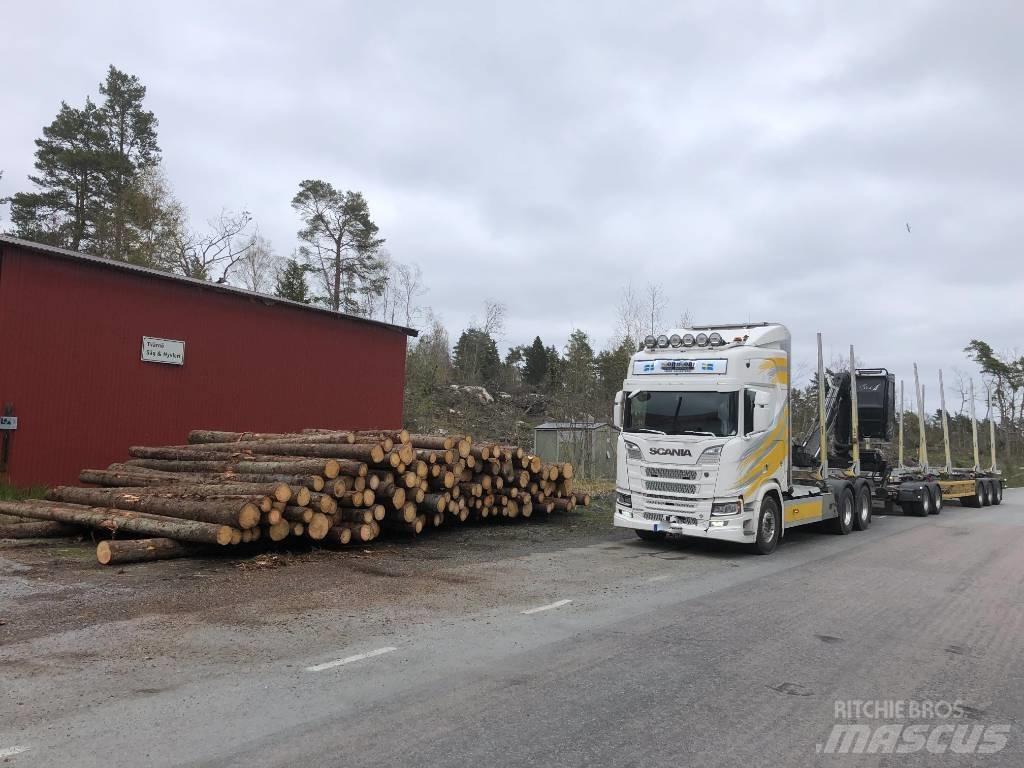 Scania R 650 Puuautot