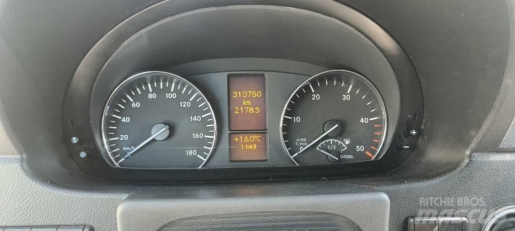 Mercedes-Benz 319 Jakeluautot