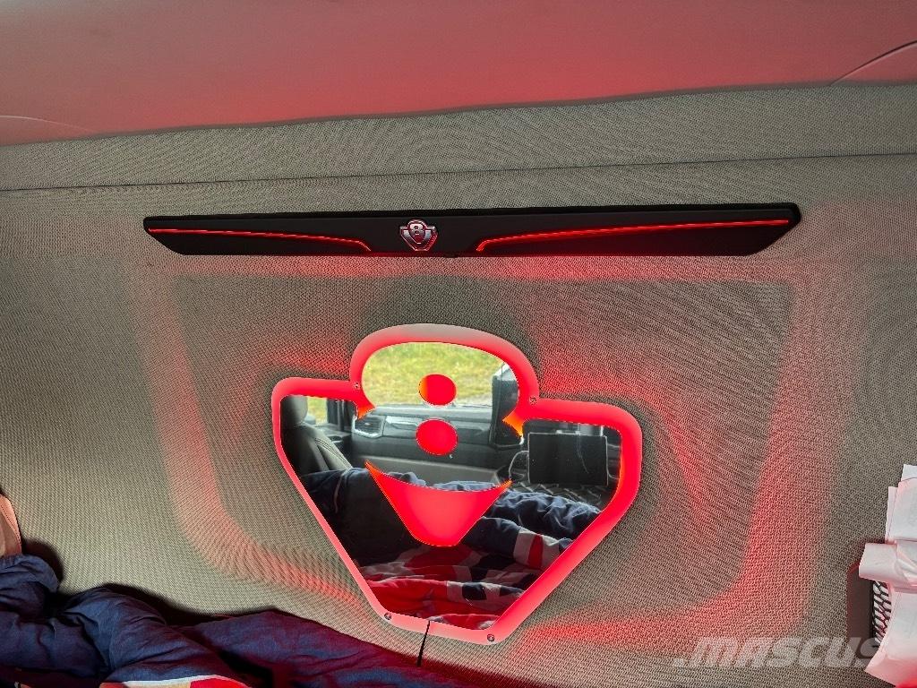 Scania R650B6X4NB Puuautot