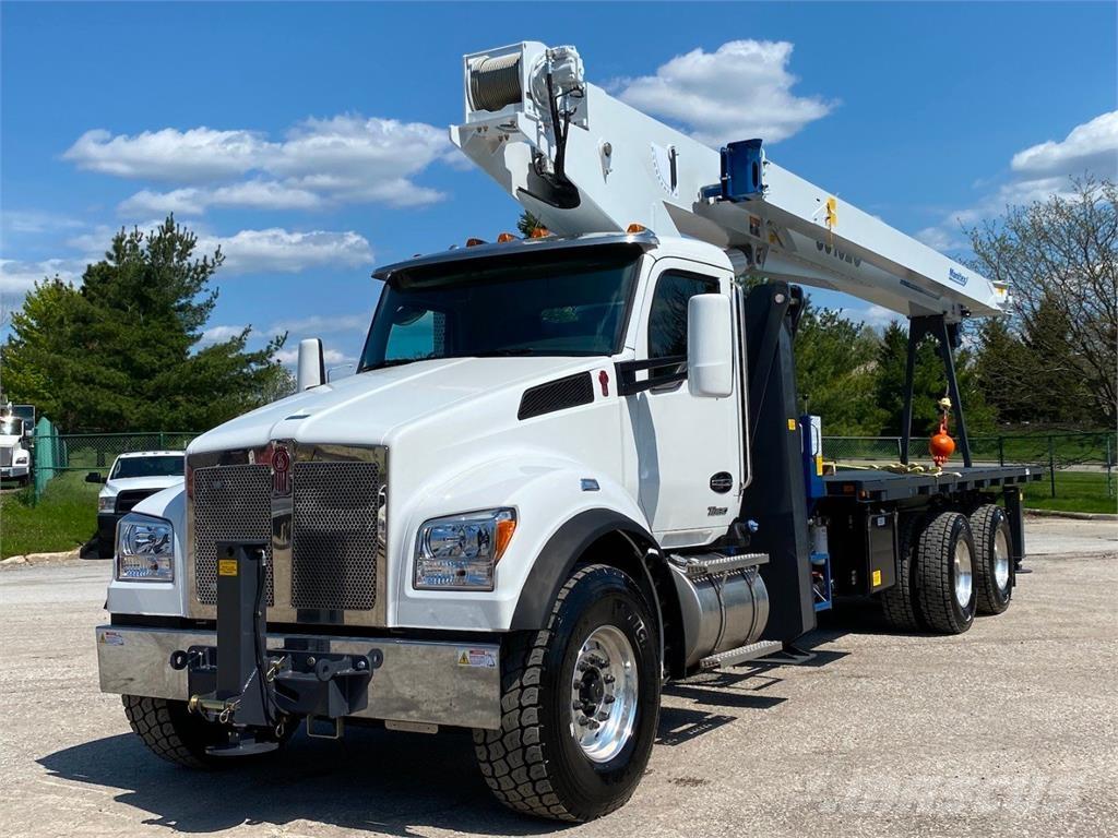 Manitex 30102 C Nosturiautot