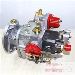 Cummins 4951451-20 Moottorit