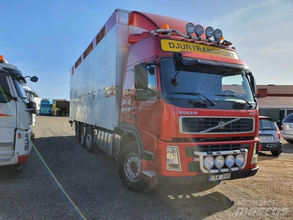 Volvo FM12 Eläinkuljetusautot