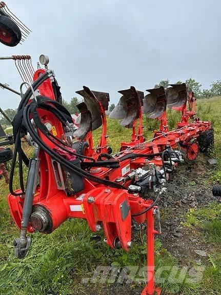 Maschio  Paluuaurat