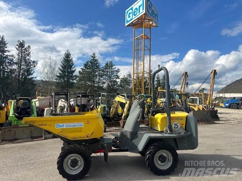 Neuson 3001 Minidumpperit