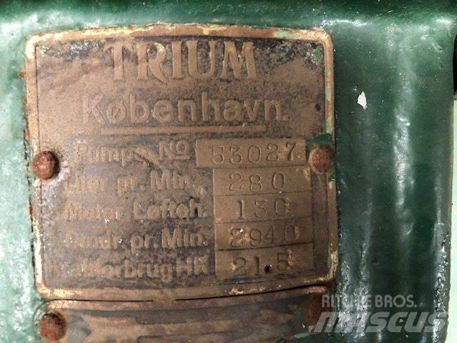  TRIUM QZKS Vandpumpe Vesipumput