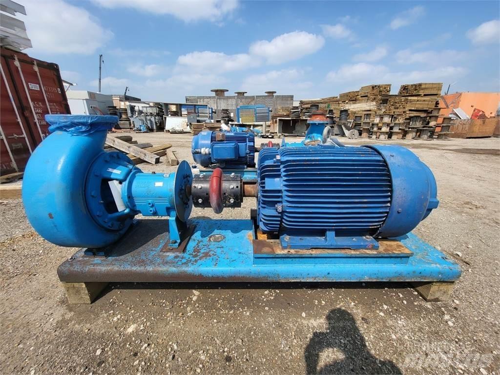  GOULDS 3196 Vesipumput