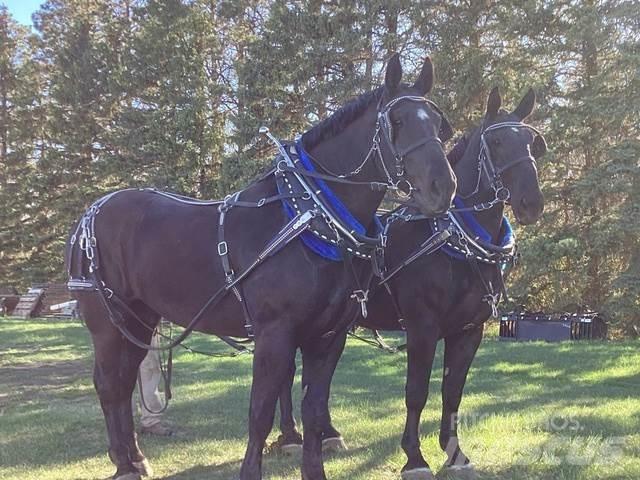  Percheron Team Muut koneet