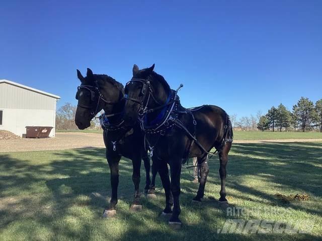  Percheron Team Muut koneet