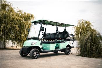  BirdieCar BC M4+2