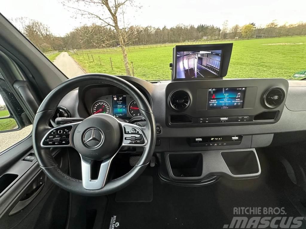 Mercedes-Benz Sprinter 315 AMG 2-paards paardenvrachtwagen B-rij Eläinkuljetusautot