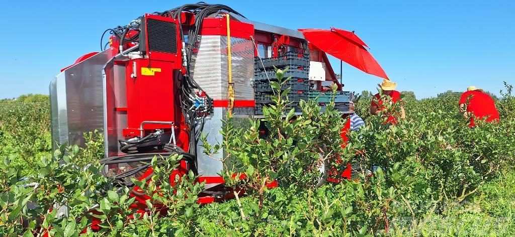 Weremczuk Kombajn do malin KAREN | Raspberry harvester Rypäle sadonkorjuukoneet